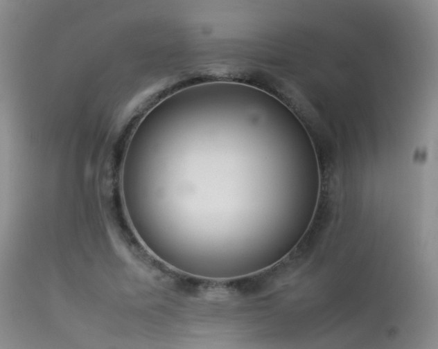 X0000113330587200909141429