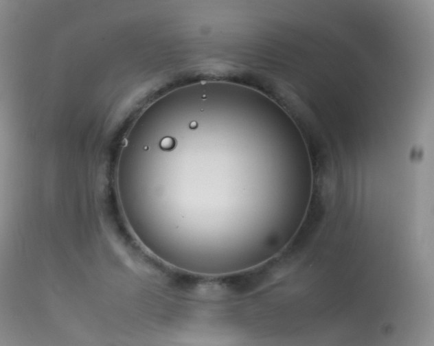 X0000113330591200909141429