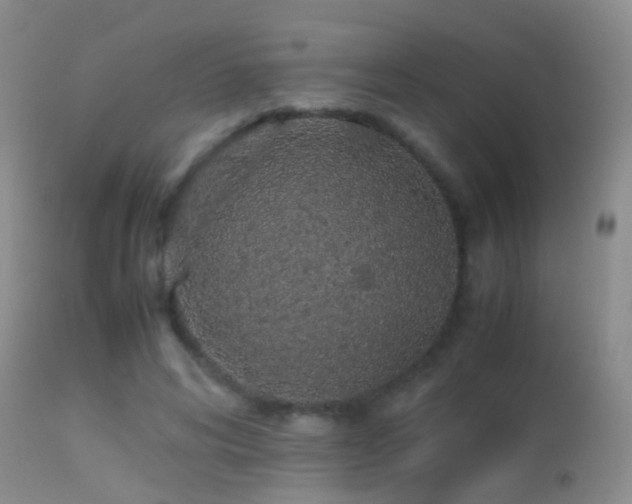 X0000113330592200909141429