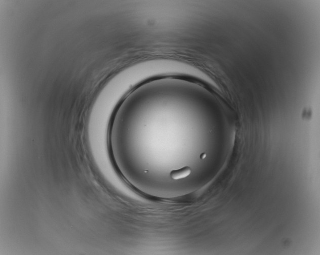 X0000113330593200909141429