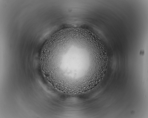 X0000113330594200909141429