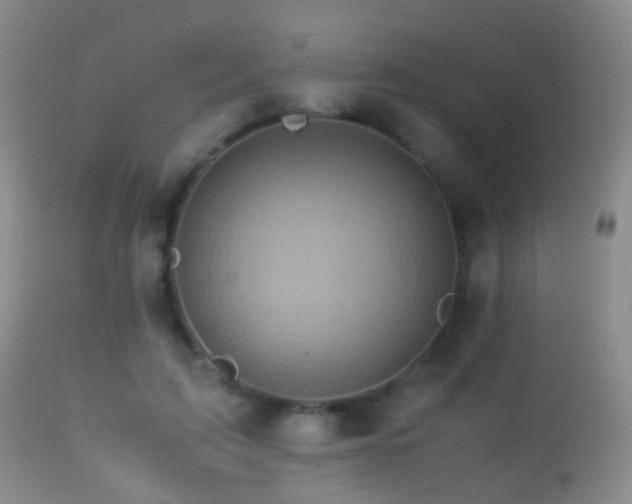 X0000113330595200909141429