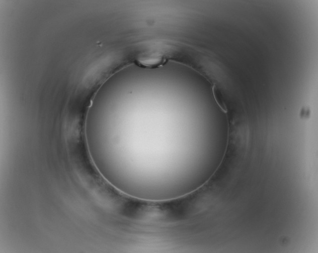 X0000113330597200909141429