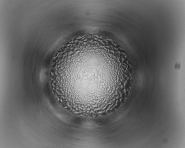X0000113330598200909141429