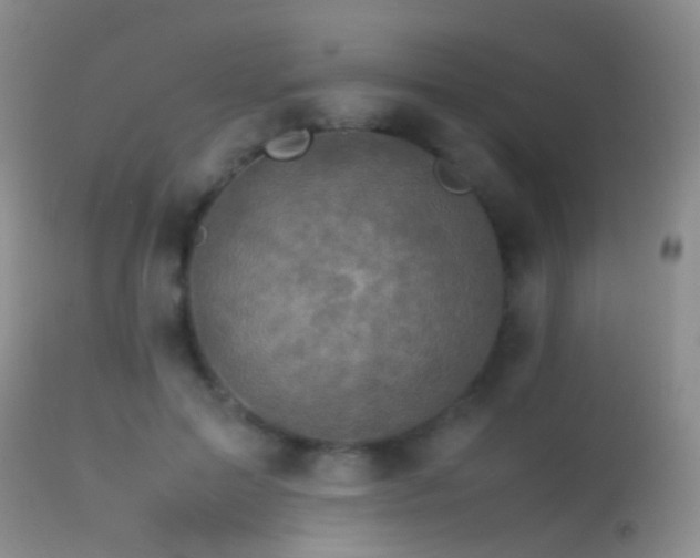 X0000113330599200909141429