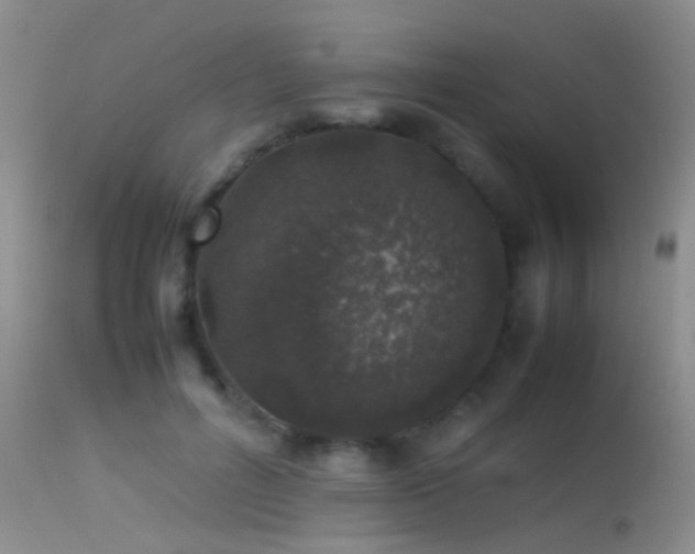 X0000113330600200909141429