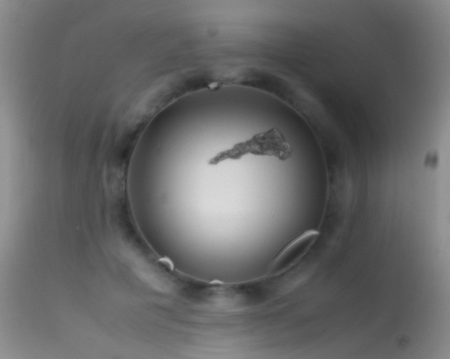 X0000113330601200909141429