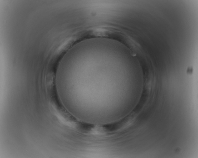 X0000113330603200909141429