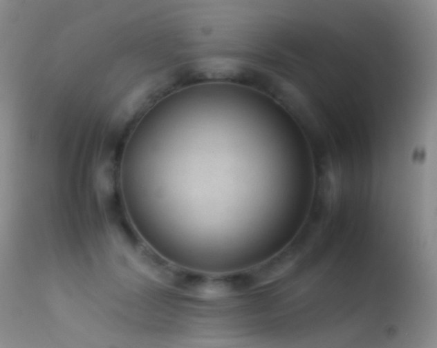 X0000113330604200909141429