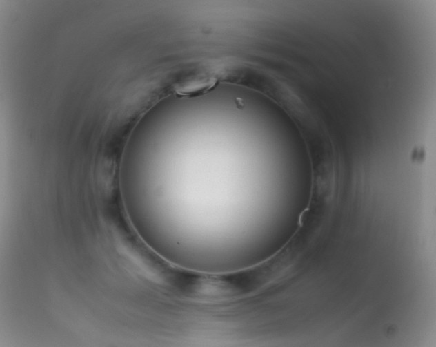 X0000113330605200909141429