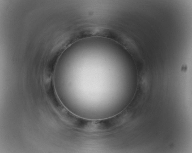 X0000113330607200909141429