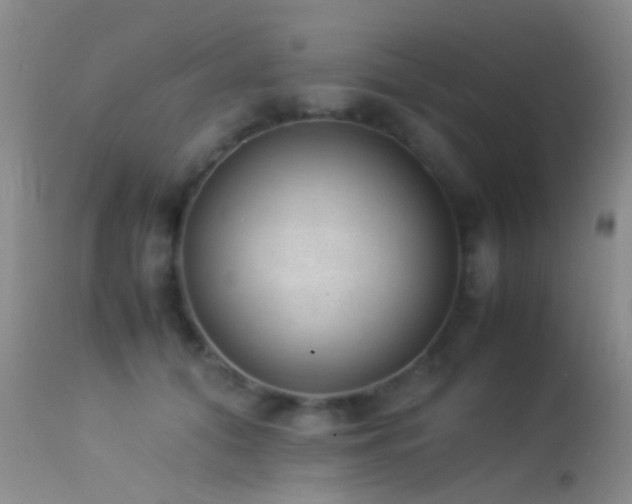 X0000113330608200909141429