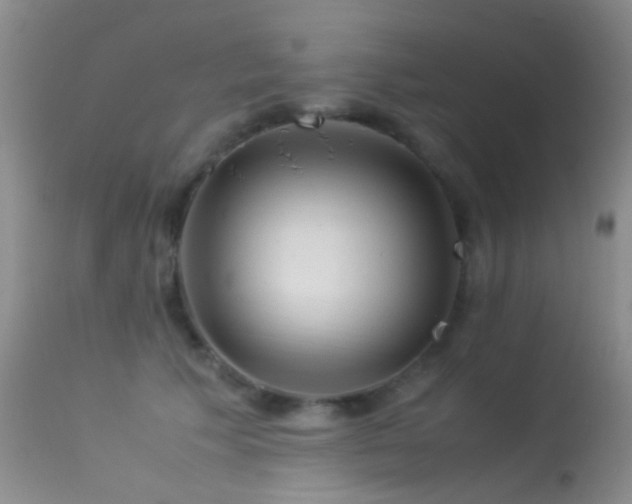 X0000113330609200909141429