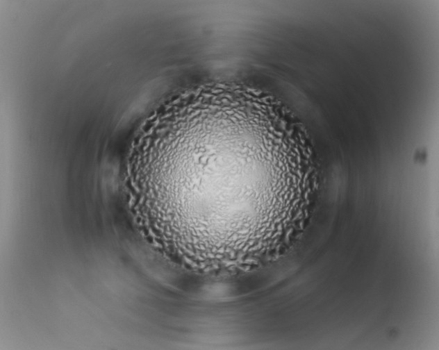 X0000113330610200909141429