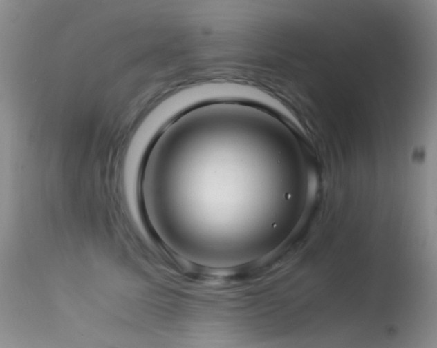 X0000113330611200909141429