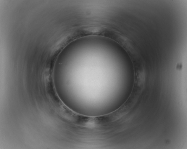 X0000113330612200909141429