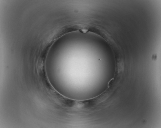 X0000113330613200909141429