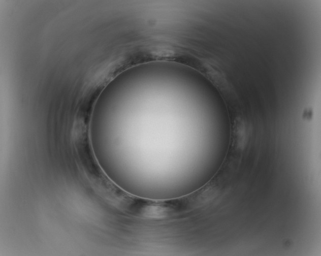 X0000113330614200909141428