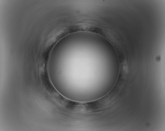 X0000113330615200909141428