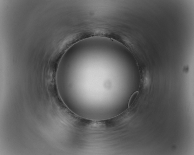 X0000113330619200909141428