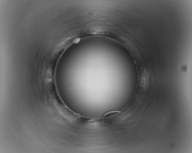 X0000113330620200909141428