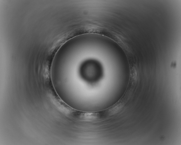 X0000113330622200909141428