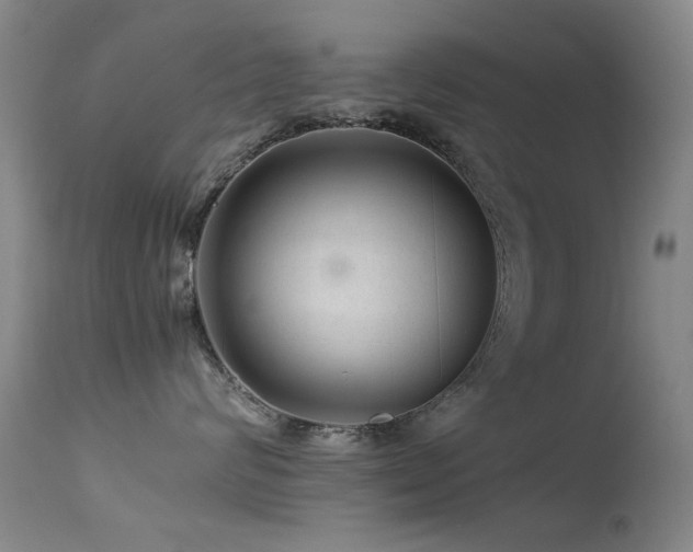 X0000113330624200909141428