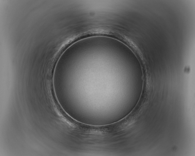 X0000113330625200909141428