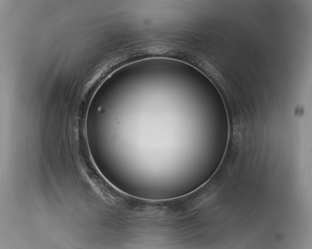 X0000113330626200909141428