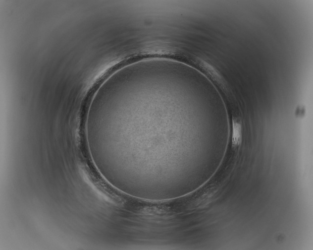 X0000113330627200909141428