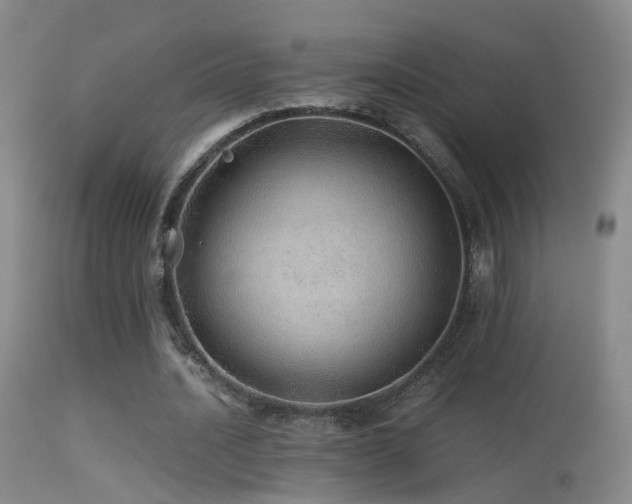 X0000113330628200909141428