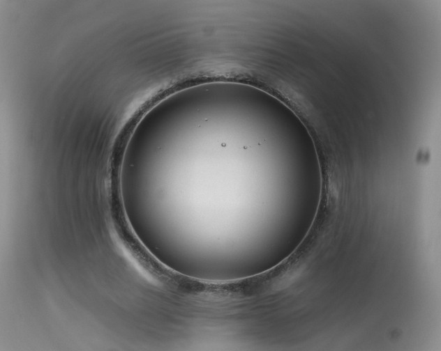 X0000113330630200909141428