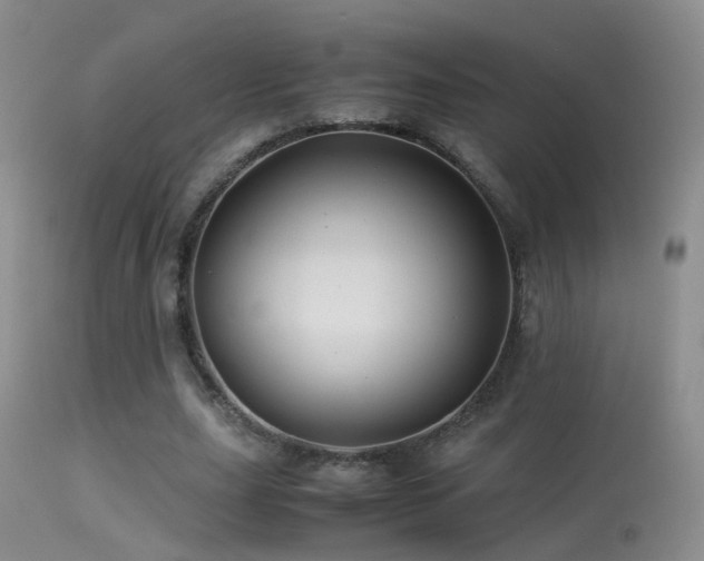 X0000113330631200909141428