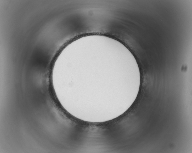 X0000113330632200909141428
