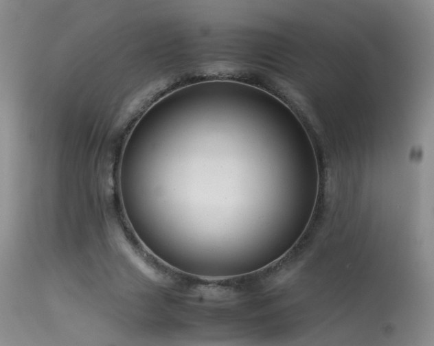 X0000113330633200909141428