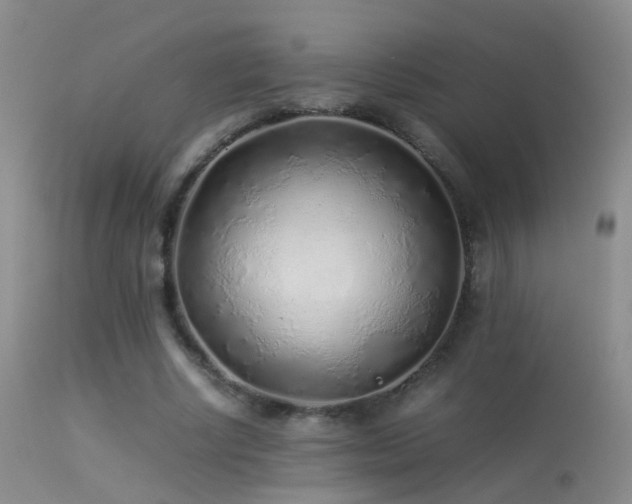 X0000113330634200909141428