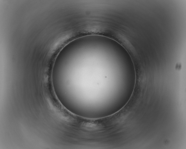 X0000113330635200909141428