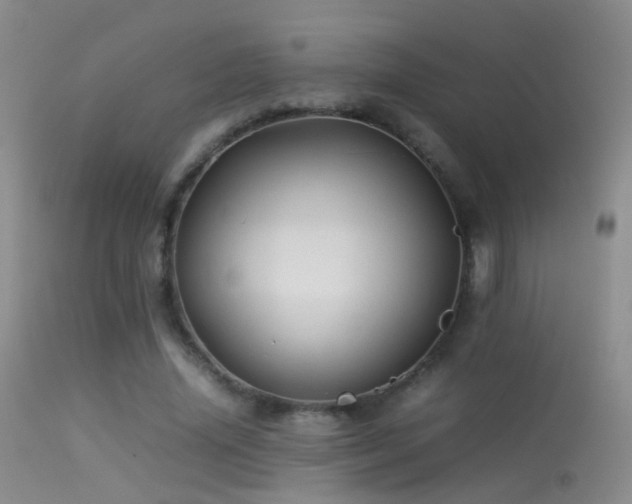 X0000113330636200909141428