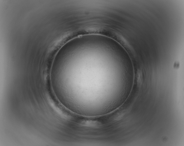 X0000113330637200909141428