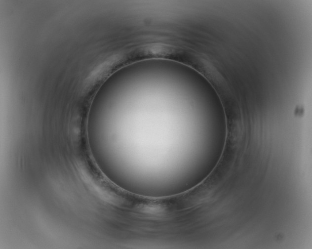 X0000113330639200909141428