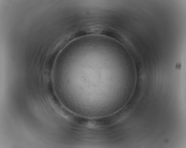 X0000113330641200909141428