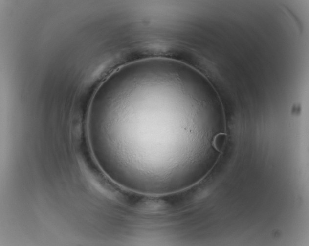 X0000113330642200909141428