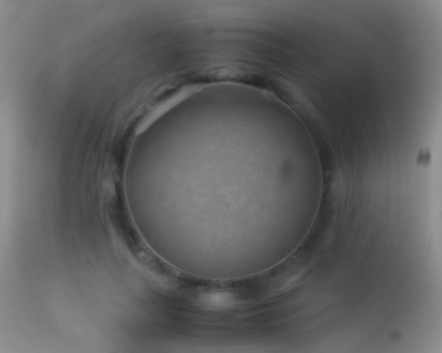 X0000113330643200909141428