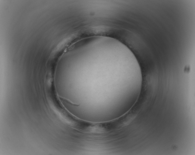 X0000113330644200909141428