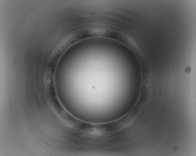 X0000113330645200909141428