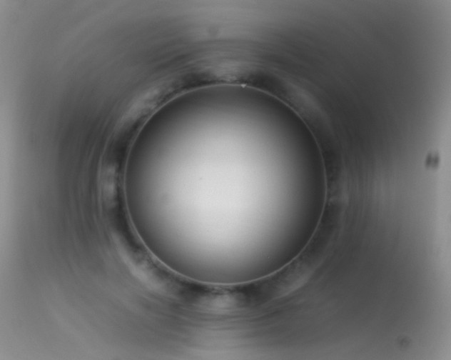 X0000113330646200909141428
