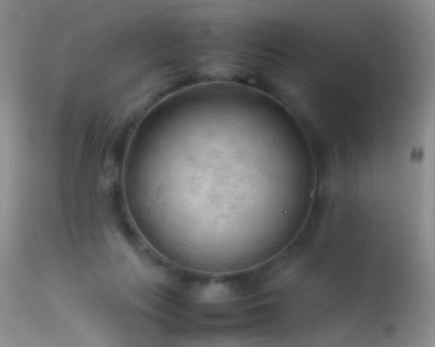 X0000113330647200909141428