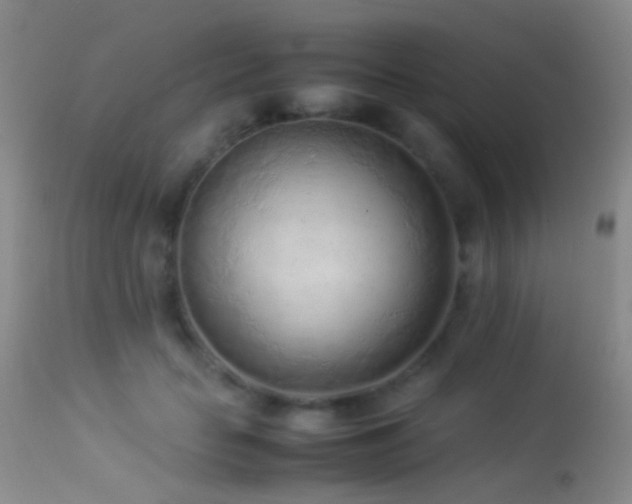 X0000113330653200909141428