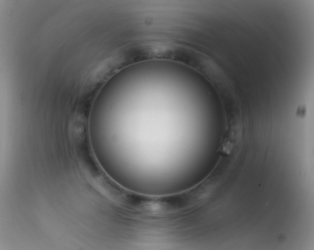 X0000113330654200909141428