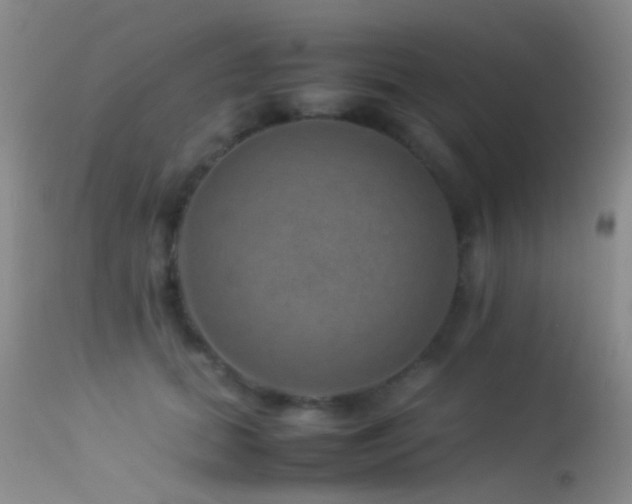 X0000113330655200909141428